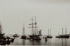Punta della Dogana 1900 circa