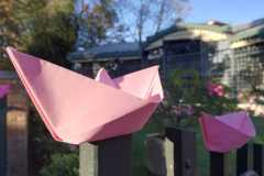 Camminata Rosa 2019 in Serra