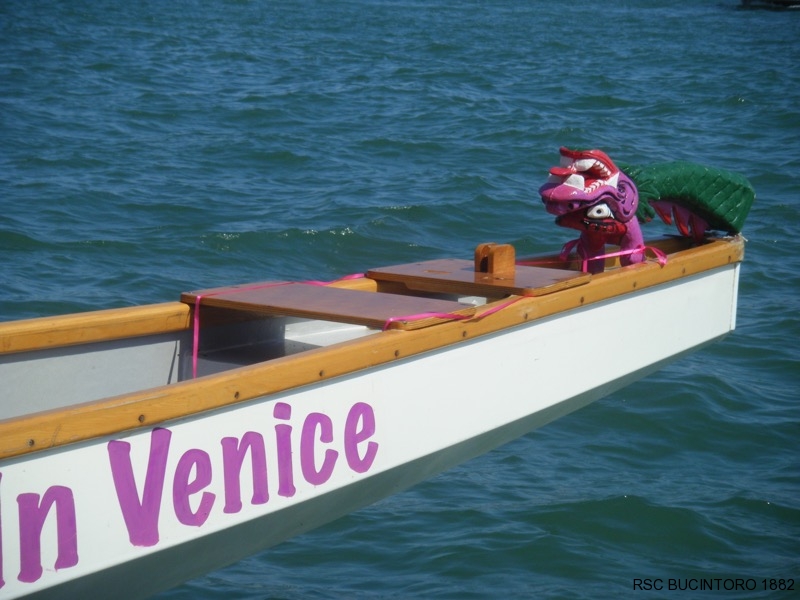 Pink Lioness in Venice
