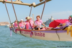 Pink Lioness in Venice