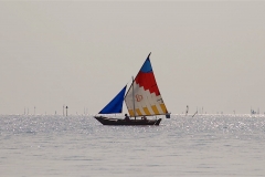 Regata dei Fortini 2017