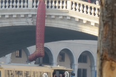 Ponte di Rialto, Regata delle Befane 2019