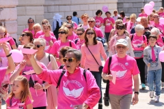 Seconda Camminata Rosa, 14 maggio 2017