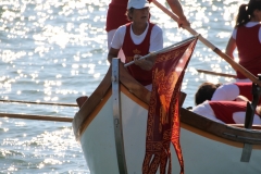 Sensa 2019