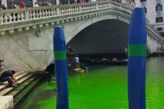 IMG-20230528-0002