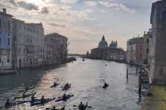 IMG-20230528-0013