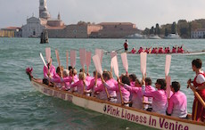 The Pink Lionesses in Venice