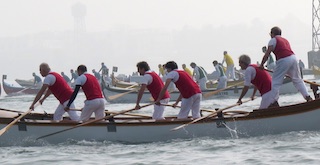 Regata 50 Caorline, edizione 2016